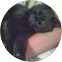 Celulit ekspert V25 15 Katty I. profile picture